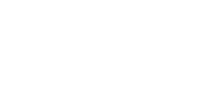Control Position. Soluciones de Gestión para Flotas